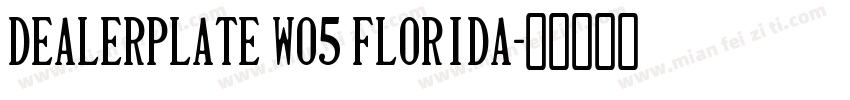 Dealerplate W05 Florida字体转换